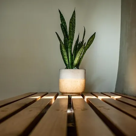 公寓 Seaside Volosko On The 奥帕提亚