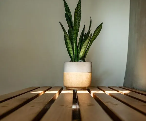 Апартаменти Seaside Volosko On The Опатія